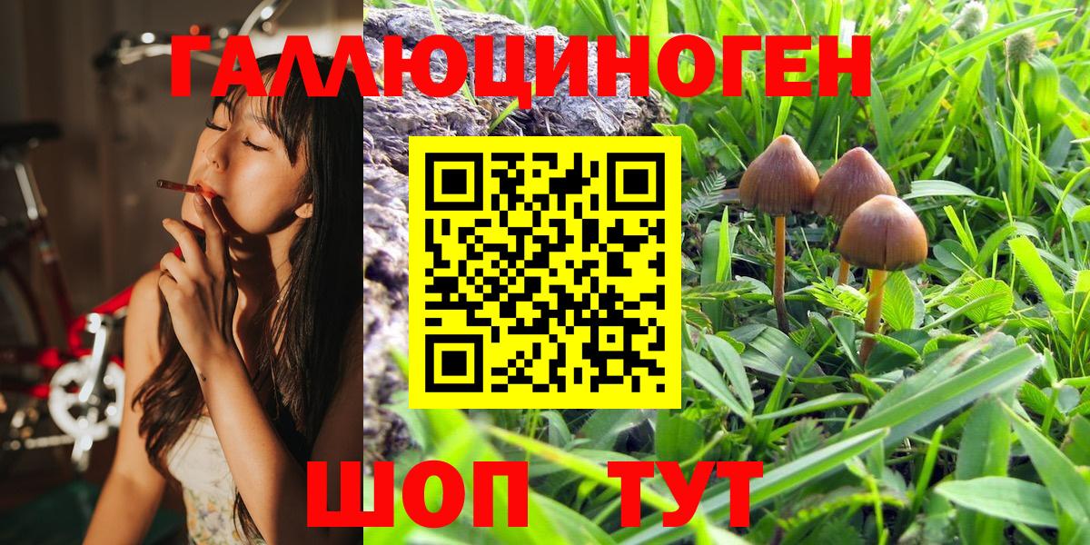 Борисоглебск  Псилоцибиновые грибы Magic Shrooms  Вход с VPN 